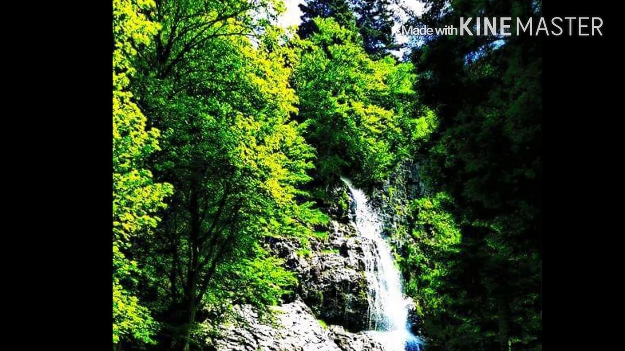 le bushcraft pour moi / what bushcraft means to me