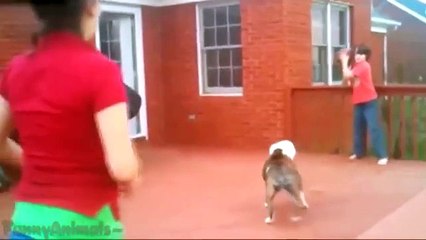 Best Fails Compilation of the Week 1 August 2015 || FailArmy