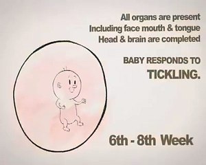 STOP ABORTION.. MOST HEART TOUCHING VIDEO..