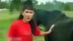 INCREDIBLE - Girl teaches cow to jump like a horse - Funny Videos