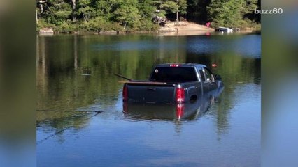 Dog drives owner's truck into the lake