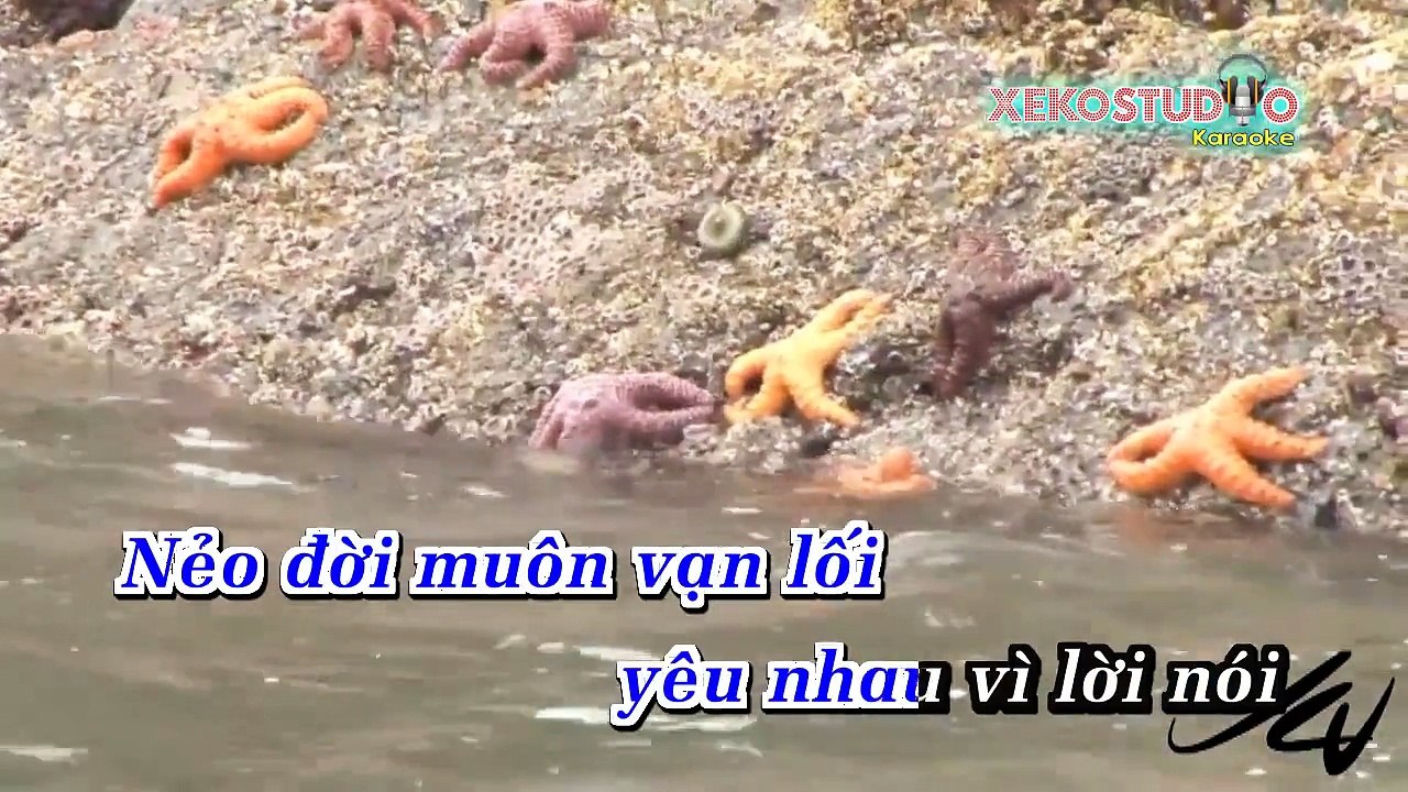 Căn Nhà Màu Tím - Đan Nguyên-Thanh Son HD (FuLLBeat) 1080p