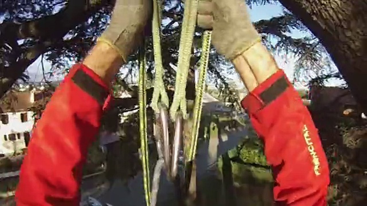 [Arboriste] GSST - Grimpeur Sauveteur Secouriste du Travail