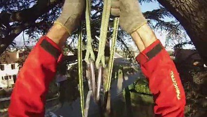 [Arboriste] GSST - Grimpeur Sauveteur Secouriste du Travail