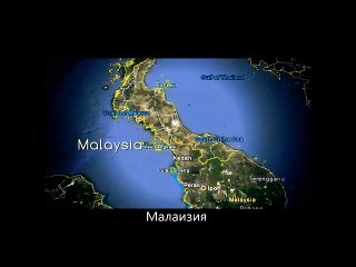 DXN - Първият Ганодерма Мрежов компанията е лидер на пазара