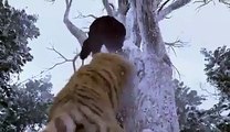 ایک شیر اور انسان کی لڑائی بہت ہی زبردست لڑائی دیکھیے اور اگے شہیر کریں