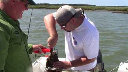 Fishing Merrills Inlet South Carolina for Flounder