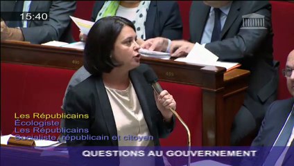 Video herunterladen: Logements sociaux : S. Pinel répond à une question d'actualité au Gouvernement