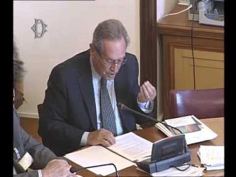 Roma - Audizioni sulla riforma della Rai (29.09.15)