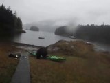 Crazy Woman yells at Bear playing with her Kayak in Alaska