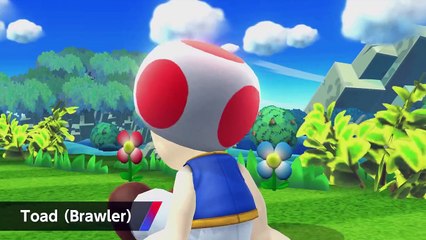 Super Smash Bros - Costumes Mii MAJ 1.1.1