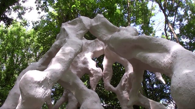 Souche de Yuhsin U Chang - Art, villes et paysages 2015 - Hortillonnages