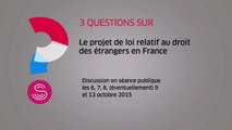 [Questions sur] Le projet de loi relatif au droit des étrangers en France