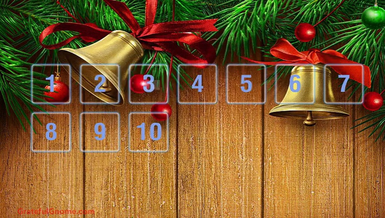 Bird Feeder Christmas Gift Ideas- The Best Feeders for Christmas Are Here