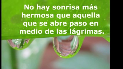 Frases para reflexionar sobre la vida