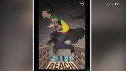 Florida woman arrested for riding a sea turtle at the beach