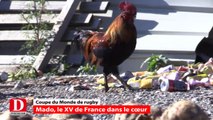 Coupe du monde de rugby : Mado, le XV de France dans le coeur