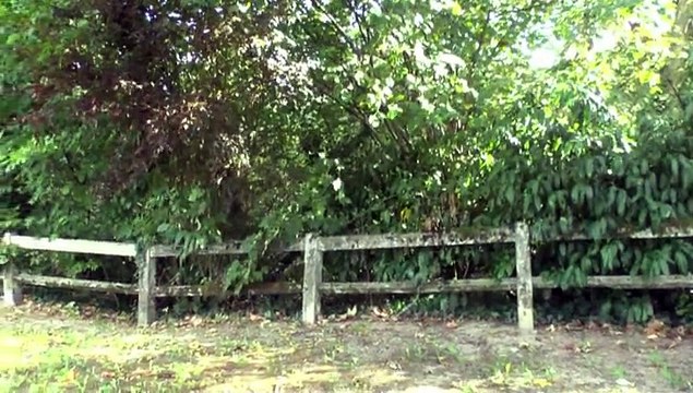 LES W-D.D. MICHOU NEWS - PAU - 27 SEPTEMBRE 2015 - LA FONTAINE TRESPOEY VIENT D'ÊTRE RÉNOVÉE