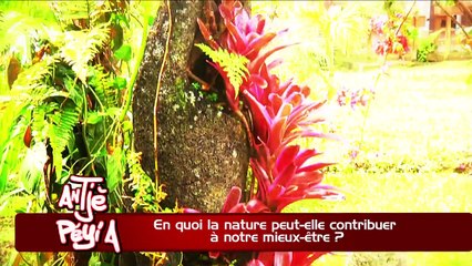 ATPA 01 10 15 LA NATURE NOTRE MIEUX ETRE PASCALE GUILLAUME OK