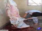 Dunya News- Have you seen a girl skin an animal.