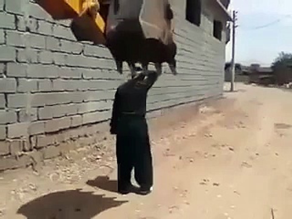 Pakistani funny video 1) New Funny Clips Pakistani 2013