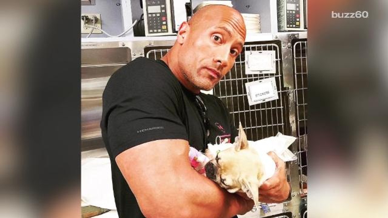 'The Rock' says goodbye to his beloved dog in touching Instagram post