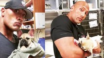 L'un des chiens de Dwayne The Rock Johnson est mort après avoir mangé un champignon toxique