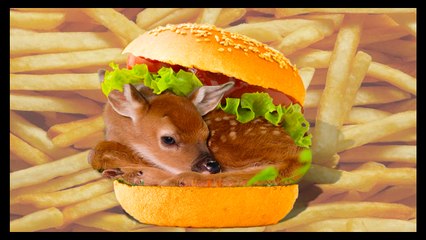 Oh Deer… Burger! - Food Feeder