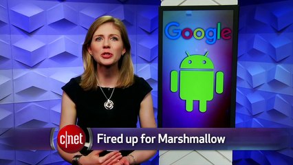 Two new Nexus phones teased in leaked images