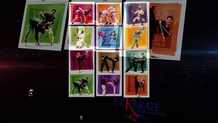 Bande annonce Web TV Ligue Midi Pyrénées de Karaté et DA