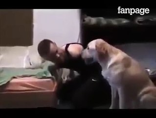 Il padrone è senza braccia, il cane prova ad aiutarlo mentre si veste