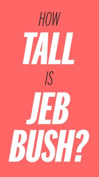 How tall is Jeb Bush?