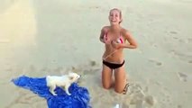 Komik Video Köpek kızın bikinisini çıkarıyor ☆ Komedi ve Eğlence izle (video)  ツ