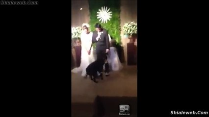 Tải video: MI PERRO EN MI BODA ANIMALES Y MASCOTAS MATRIMONIO CON SU MEJOR AMIGO ASISTIENDO EN LA CEREMONIA RELIGIOSA SEPTIEMBRE 2015