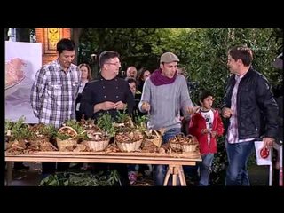 TV3 - Divendres - Què ens cal saber per ser un bon boletaire?