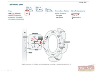 Cardiovascular Pharmacology Part 2