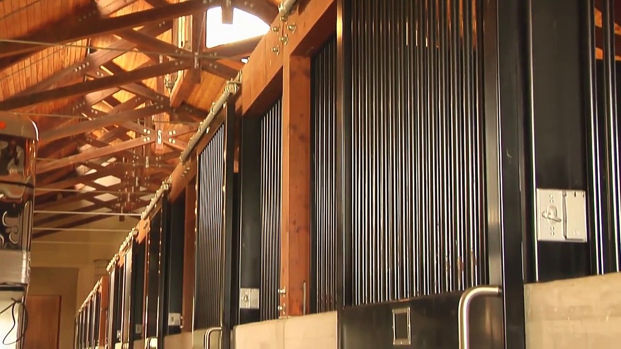 Horse Farm turned Cattle Farm