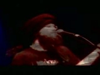 Groundation - What Could Have Been