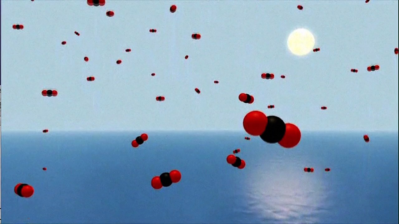 A acidificação dos oceanos