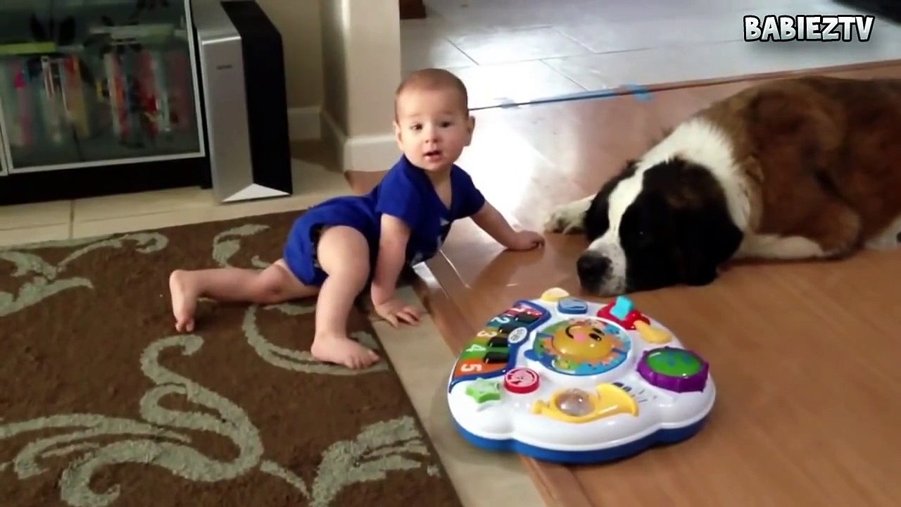 Big Dogs Playing with Babies Compilation 2015