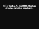 Hidden Wonders: The Small 5005 of Southern Africa: Insects Spiders Frogs Reptiles Read PDF