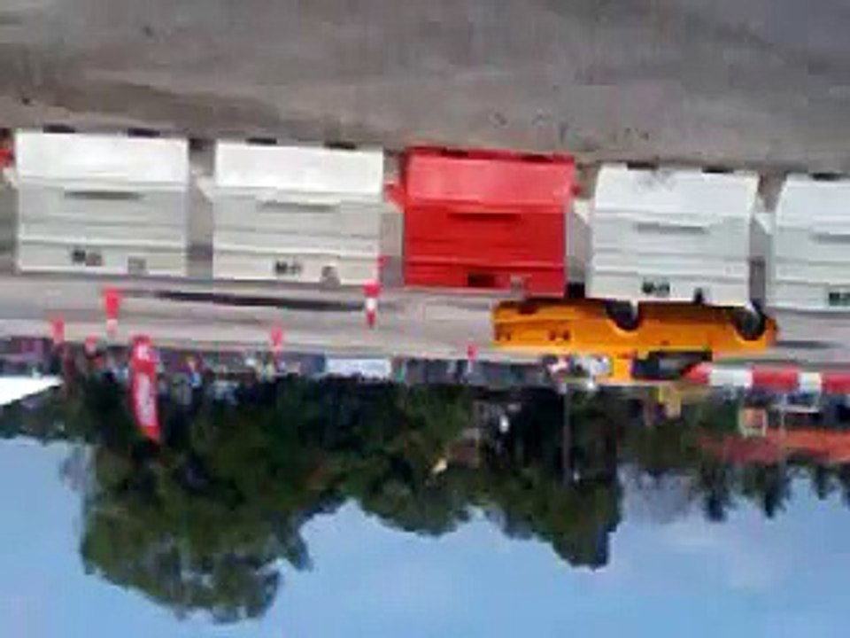 Drif kat pasar pekan