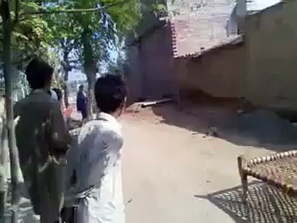 funny video must watch