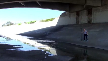 Le sauvetage de ce berger allemand abandonné est poignant
