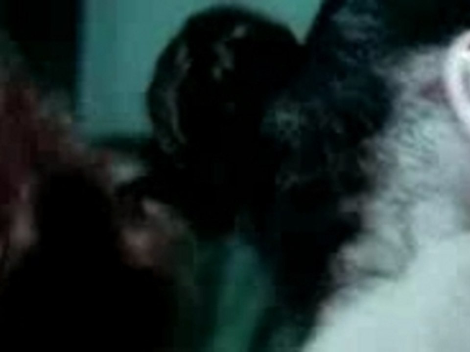 Slaughter Hotel - Fernando Di Leo