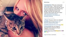 Miranda Lambert Adopts a New Kitten