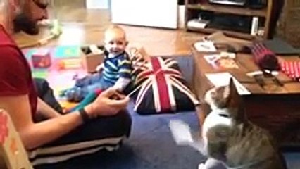 Baby cracks up at cat playing with tape measure