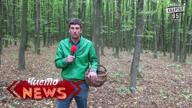 Грибы в Виннице - Подберёзовик, подосиновик и подводочку - Спец.Корр. Чисто News 2015 Александр