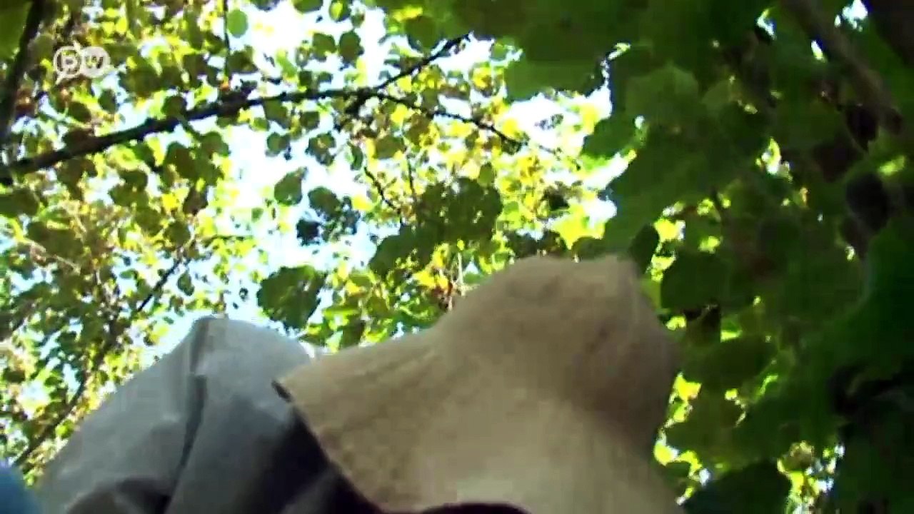 Überleben im eingefrorenen Konflikt | Fokus Europa