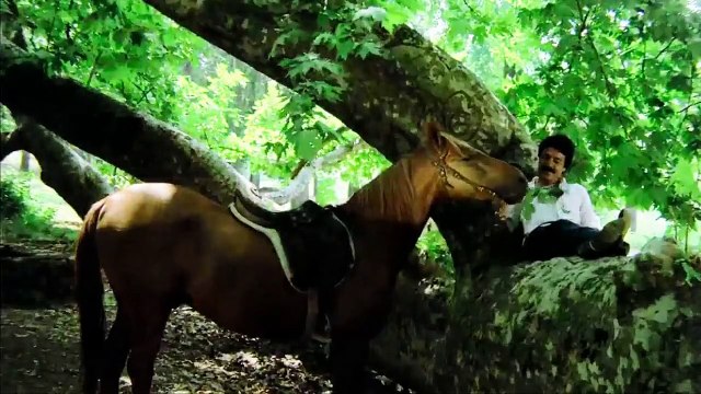 Ferdi Tayfur Yıldızlarda Kayar hd